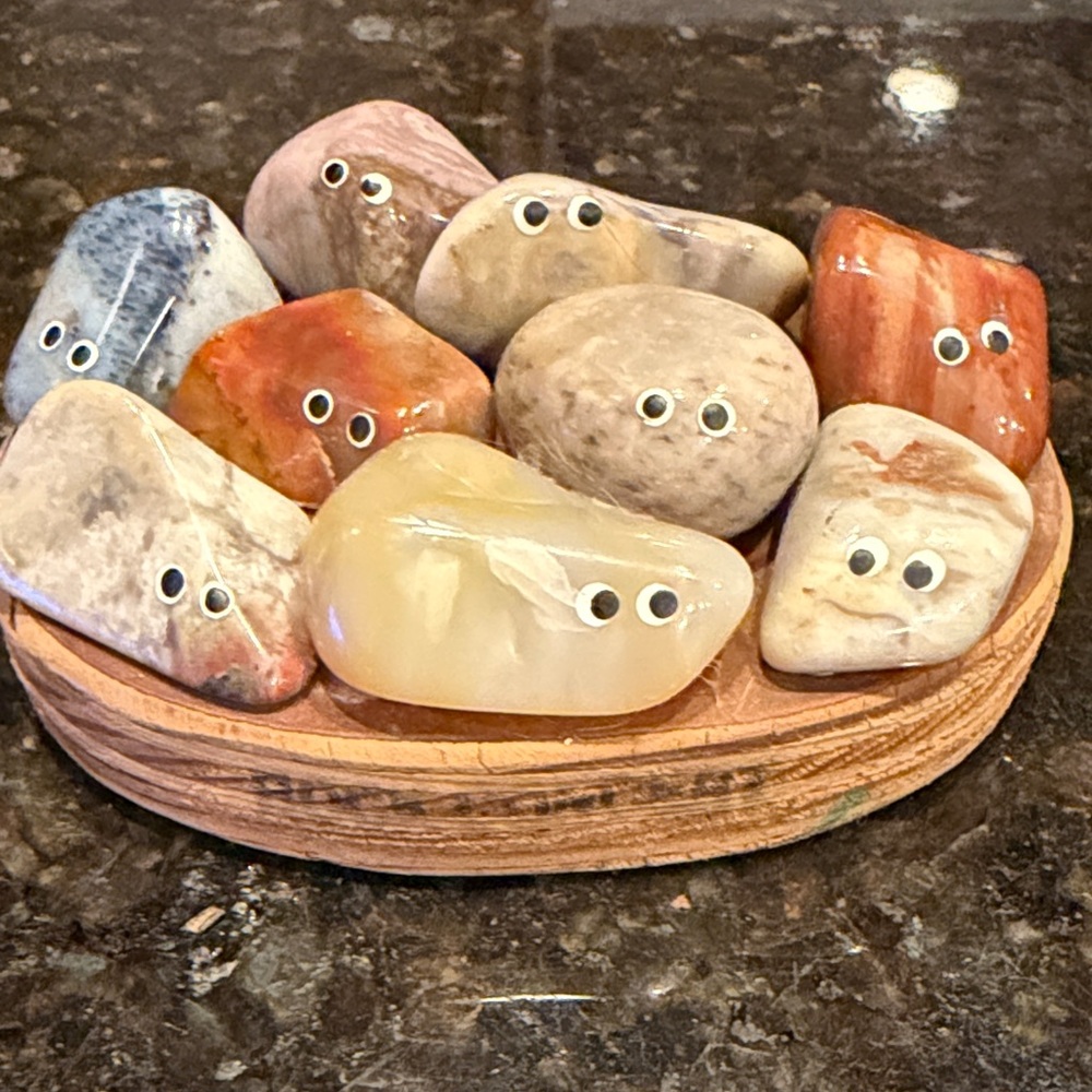 Googly Eye Polished Gemstone Rocks - Assorted Natural Colors on Wooden Base